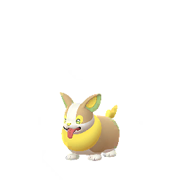 Galar - 0835 - Yamper